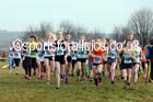Girls under-13s North Eastern Cross Country, Aykley Heads, Durham. Photo: David T. Hewitson/Sports for All Pics